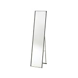 Adesso WK2444-22 Alice Floor Mirror, Steel Finish