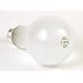 Eiko ECT 120v 500w Photo Flood Lamp