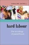 Hard Labour: The Sociology of Parenthood, Family Life and Career: The Sociology of Parenthood