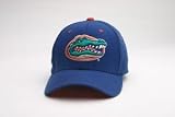 Florida Gators Zephyr Z-Fit Hat