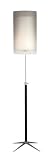 3311 - Santa Cruz Floor Lamp
