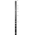Thermo Scientific Superladder DNA Size Markers, Superladder-Low 100bp Ladder; 150 micrograms