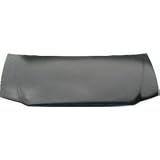 Hood 96-00 Dodge Caravan Chrysler Town & Country Plymouth Voyager 96 97 98 99 00 1996 1997 1998 1999 2000 Van