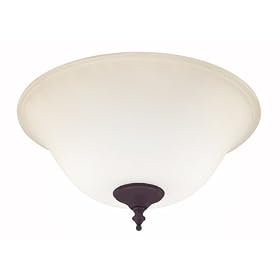 Hunter Energy Efficient Star Tea Stain Bowl Light Kit