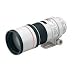 Canon EF 300mm f/4L IS USM Telephoto Lens for Canon SLR Cameras