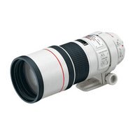 Canon EF 300mm f/4L IS USM Telephoto Lens for Canon SLR Cameras