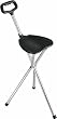 Folding Cane Seat