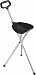 Folding Cane Seat