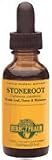 Stone Root - Collinsonia