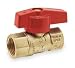 Industrial Grade 1WMC2 Ball Valve, 2 PC, 3/4 In FNPT, Forged Brass