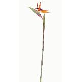 Shopzeus USA zeusd1-CALA-4270412 Bird of Paradise Silk Flower- 12 Stems