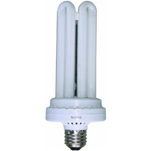 Lights of America 9142B Fluorescent Bulb