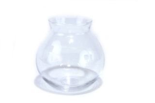 Glass Ivy Bowl For Betta - 4