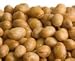 Soy Nuts, Dry Roasted & Salted, Organic, 30# Bulk