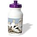 Danita Delimont - Birds - Gannet tropical birds, Cape Kidnappers New Zealand-AU02 RJA0002 - Rebecca Jackrel - Water Bottles
