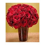 One Dozen Red Roses + 12 Free