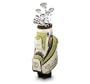 Lady Fairway Symphony Full Set in Tall Length