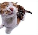 Pet Me Cat Mouse Pad