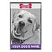Labrador Retriever (Yellow) 16 x 24 Personalized Name Only Golf Towel - Black/White