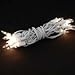 Novelty Lights 20 Light Clear Christmas Craft Mini Light Set, Non-Connectable, White Wire, 8' Long