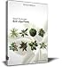 DOSCH Viz-Images: Bird's Eye - Plants