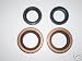 Tools & Hardware : Two Tine Oil Seals and Two Axle Oil Seals for Troy Built Horse Model Tillers