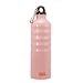 Oggi Lustre Aluminum Sport Bottle, Pink