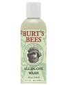 Burt's Bees Outdoor All In One Wash 4 fl. oz.