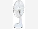 12" Fan