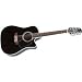 Takamine EF-381C 12-String Acoustic-Electric Guitar (Standard)