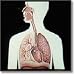 bad_breath0bad breath - Smokings Not For Winners