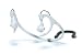 H2O Audio Waterproof Headphone