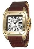 Cartier W20071Y1 Santos Silver Dial Leather Automatic Men's Watch