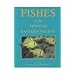 Fishes of the Tropical Eastern Pacific