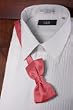 Tuxedo Bowtie - Bubble Gum Color, Pre-Tied