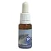 クジラ(ホエール)エッセンス 15ml