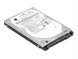 Lenovo ThinkPad - Hard drive - 320 GB - internal - 2.5 - SATA-150 - 5400 rpm - buffer: 8 MB