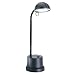 Bolide BL1170C Lamp, Halogen Desk Wireless Video Hidden Camera. Color