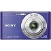 Sony Cyber-Shot DSC-W530 14.1 MP Digital Still Camera with Carl Zeiss Vario-Tessar 4x Wide-Angle Optical Zoom Lens and 2.7-inch LCD (Blue)