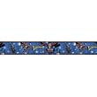Superman Wall Border (Peel & Stick, Removable)