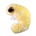Giant Microbes Bookworm Plush Toy