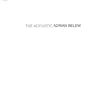 Acoustic Adrian Belew