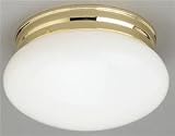 Ceiling Fixtures Forte Lighting 20011-01