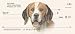 beagle36  - Personal Custom Bank Checks Beagle Dog Personal Checks