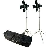 Adorama Budget Studio Monolight Flash Kit #2, with 2 100 watt Second Budget Flashes, Light Stands, Barndoors, Filters, Softex Carry Case.