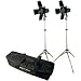 Adorama Budget Studio Monolight Flash Kit #2, with 2 100 watt Second Budget Flashes, Light Stands, Barndoors, Filters, Softex Carry Case.