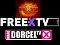Free X TV 5 Senderkarte mit Dorcel 1 Jahr Viaccess