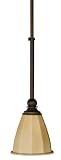 American Fluorescent FAP113RBSCT Faceted Blown Glass Pendant, Oil Rubbed Bronze