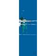 Kunstdruck / Poster: Fr�deric Flanet, La maison � la mer, 20 x 60