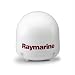 RAYMARINE